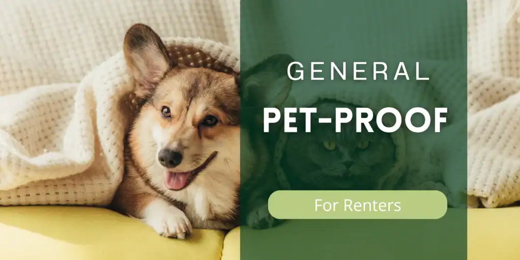 How to Pet-Proof for Renters General Pet-Proofing