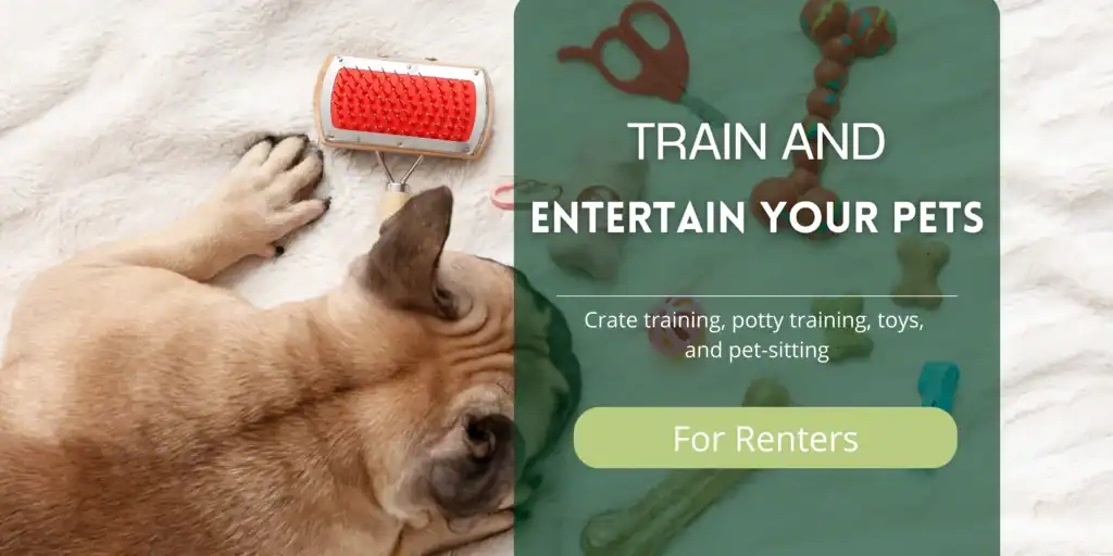 How to Pet-Proof for Renters Train and Entertain Your Pets