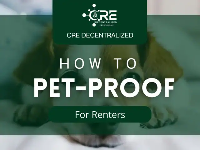 How to Pet-Proof for Renters